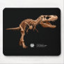 Tyrannosaurus Rex Mouse Pads