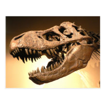 Tyrannosaurus Rex Postcard