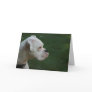 "Tyson" White Boxer Dog Photo Greeting Card