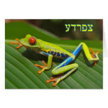 Tzefardea In Hebrew Meaning "Frog" Greeting Card