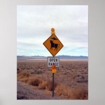 UFOs and Area 51 Poster