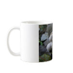 Ugg Mug