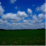 UK Blue Skies and Green Grass All The Way photo sculptures