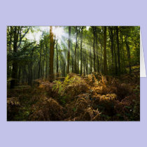 UK, England. Rays of sunlight streaming through cards