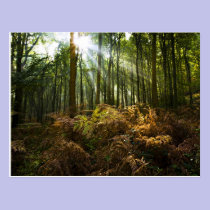 UK, England. Rays of sunlight streaming through postcards