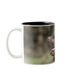 UK, England, Suffolk, Thetford Forest, Profile Coffee Mug