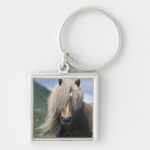 UK, Scotland, Shetland Islands, Shetland pony Keychain