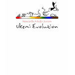Ukemi Evolution Boys T-Shirt