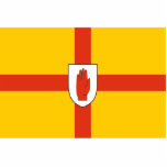 Ulster, Ireland flag photo sculptures