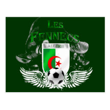 Ultra Cool Les Fennecs Algerie Postcards