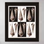 Ultra Elegant Seashell Poster Fornasetti Inspired posters