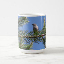 Umatilla National Forest  Fauna Birds Aves Animals Coffee Mug