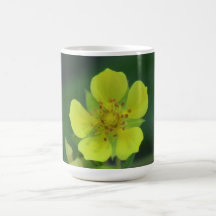 Umatilla Oregon Flora Flowers Plants Botany Coffee Mugs