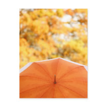 Umbrella and Autumn Colours