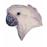 Umbrella Cockatoo Parrot t-shirts