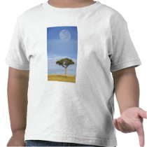 Umbrella Thorn Acacia, Acacia tortilis, and Tee Shirts