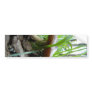 Umbrella Top Bumper Sticker