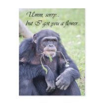 Umm sorry