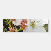 Un Bloomed Bumper Stickers