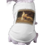 Una and the Lion pet clothing