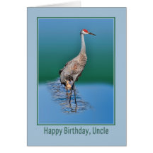 Uncle's Birthday Card with Baby Sandhill Crane
