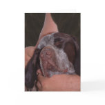 Unconditional Love Greeting Cards