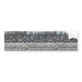 Uncountable Number Of Geese Bumper Sticker