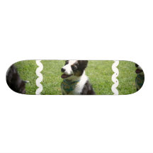 undefined skate board decks