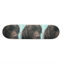 undefined skate decks
