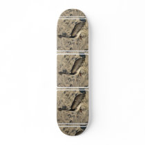 undefined skate board