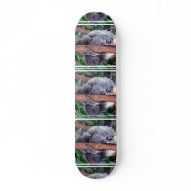 undefined skate deck
