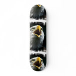 undefined skateboards