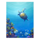 Under Sea Life Postcards