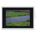 'Under the Bridge' by Marlo Dianne cards