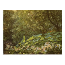 Under the Dock Leaves by Doyle, Victorian Fairies Post Cards