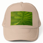 Under the Leaf Hat
