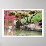 Under the Sakura posters