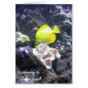 Under The Sea Cards