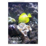 Under The Sea Cards