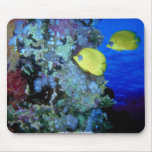 Under the Sea mousepads