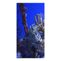 Under the Sea Photo Greeting Card