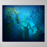 Under the Sea Posters