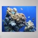 Under the Sea posters