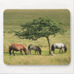 Under The Shade mousepads