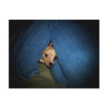Undercover postcards