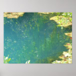 Undergrowth Beauty Poster