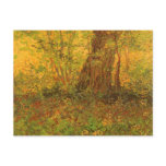 Undergrowth by Vincent van Gogh postcards