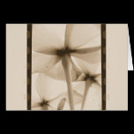 Underneath Flowers - Vintage Aged Sepia cards