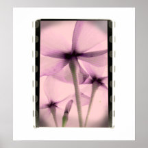 Underneath Flowers - Vintage Pinks Posters