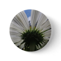 Underneath of an African daisy Buttons